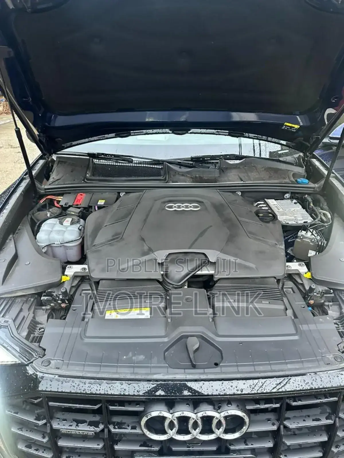 Audi Q8 3.0T Premium AWD quattro 2019 Bleu