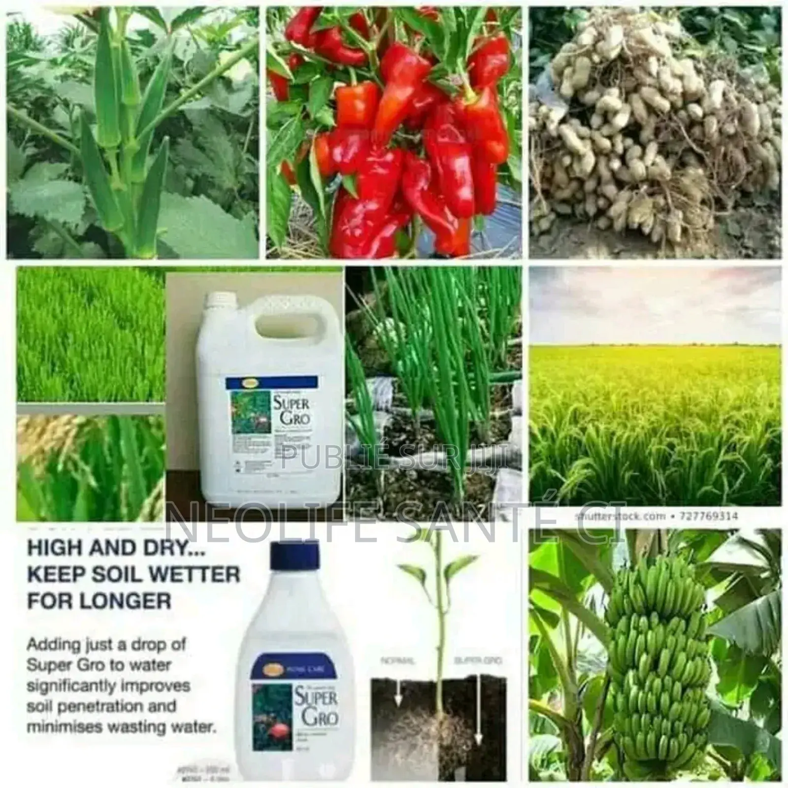 Super Gro (1 Carton De 5l)