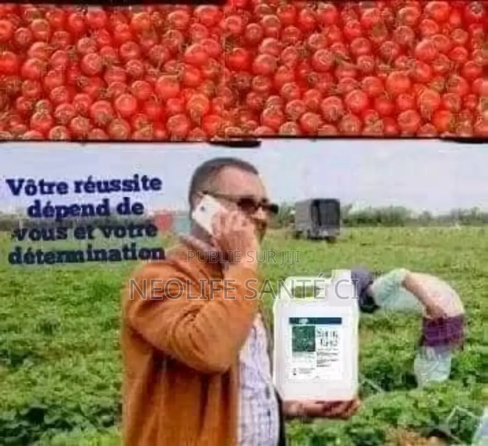 Super Gro (1 Carton De 5l)