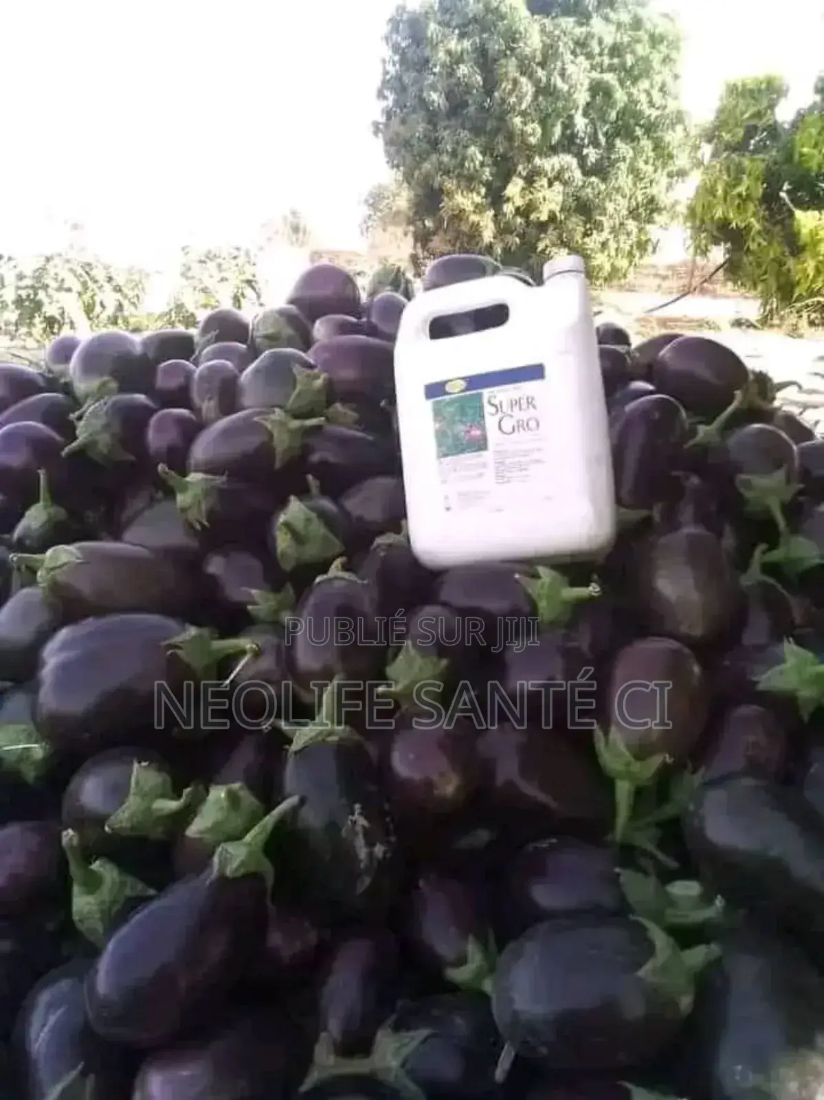 Super Gro (1 Carton De 5l)