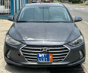 Photo - Hyundai Sonata 2016 Gris