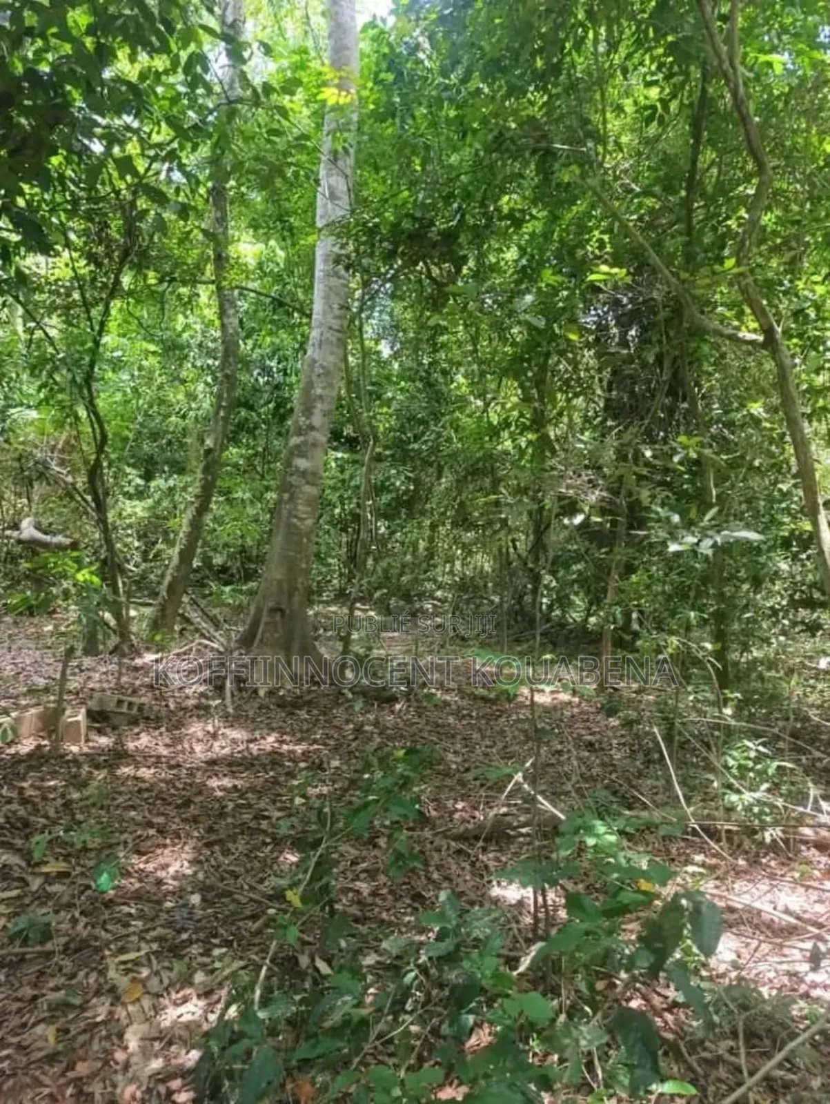 Opportunité À Saisir Dans La Localité De Prikro