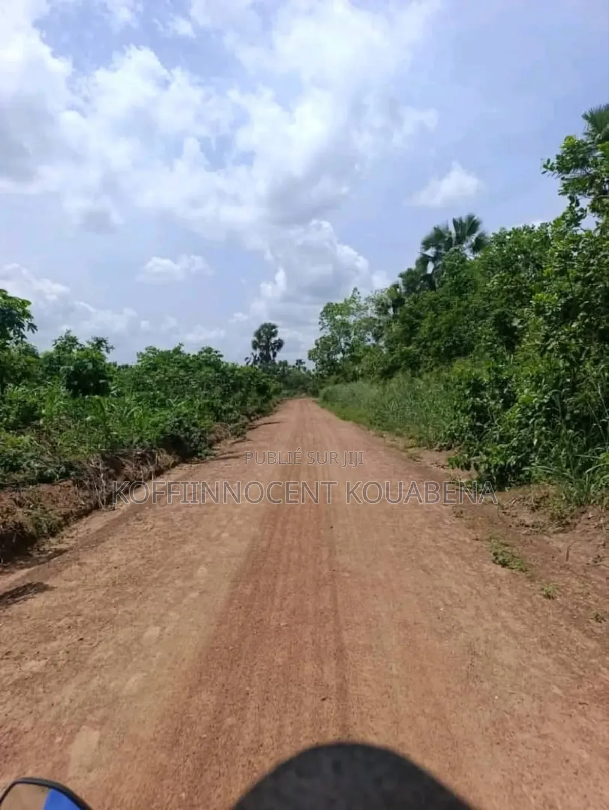 Occasion en or À Ne Pas Rater