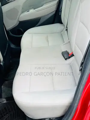 Hyundai Elantra 2018 Rouge