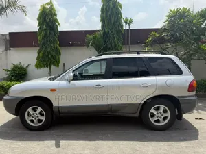 Hyundai Santa Fe 2.7 2001 Gris