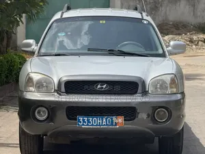 Hyundai Santa Fe 2.7 2001 Gris
