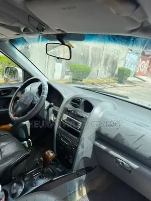 Hyundai Santa Fe 2.7 2001 Gris
