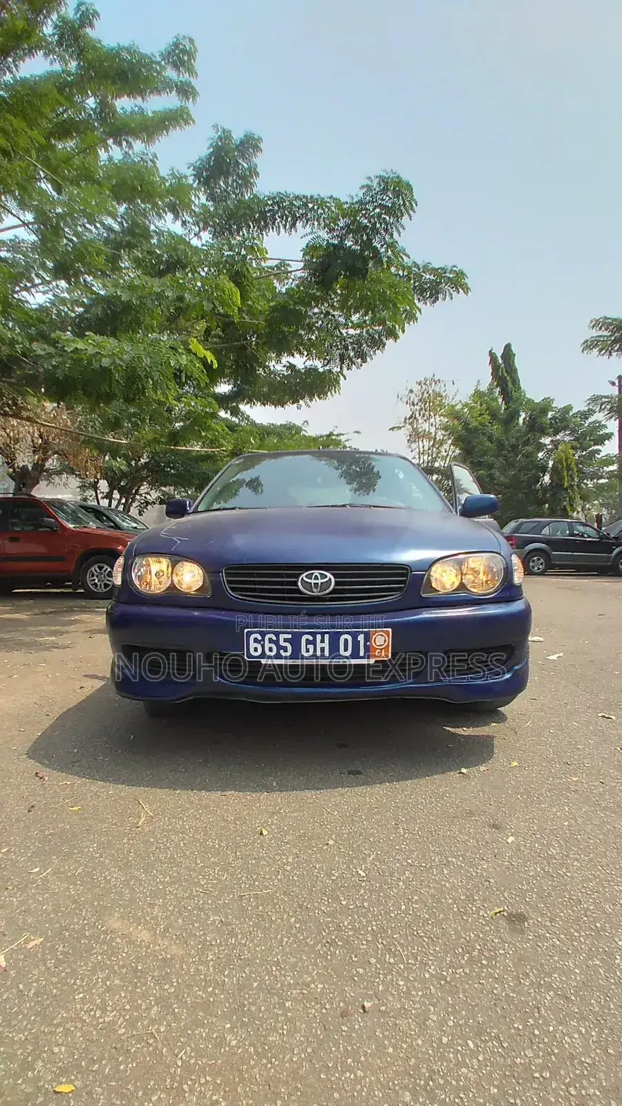 Toyota Corolla 2002 Bleu