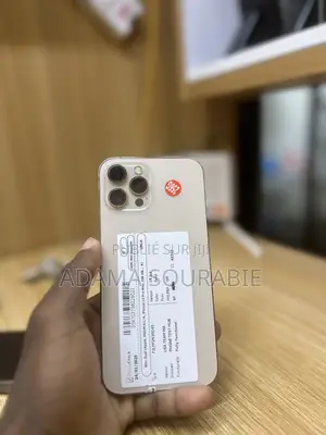 Apple iPhone 12 Pro Max 256 GB Doré