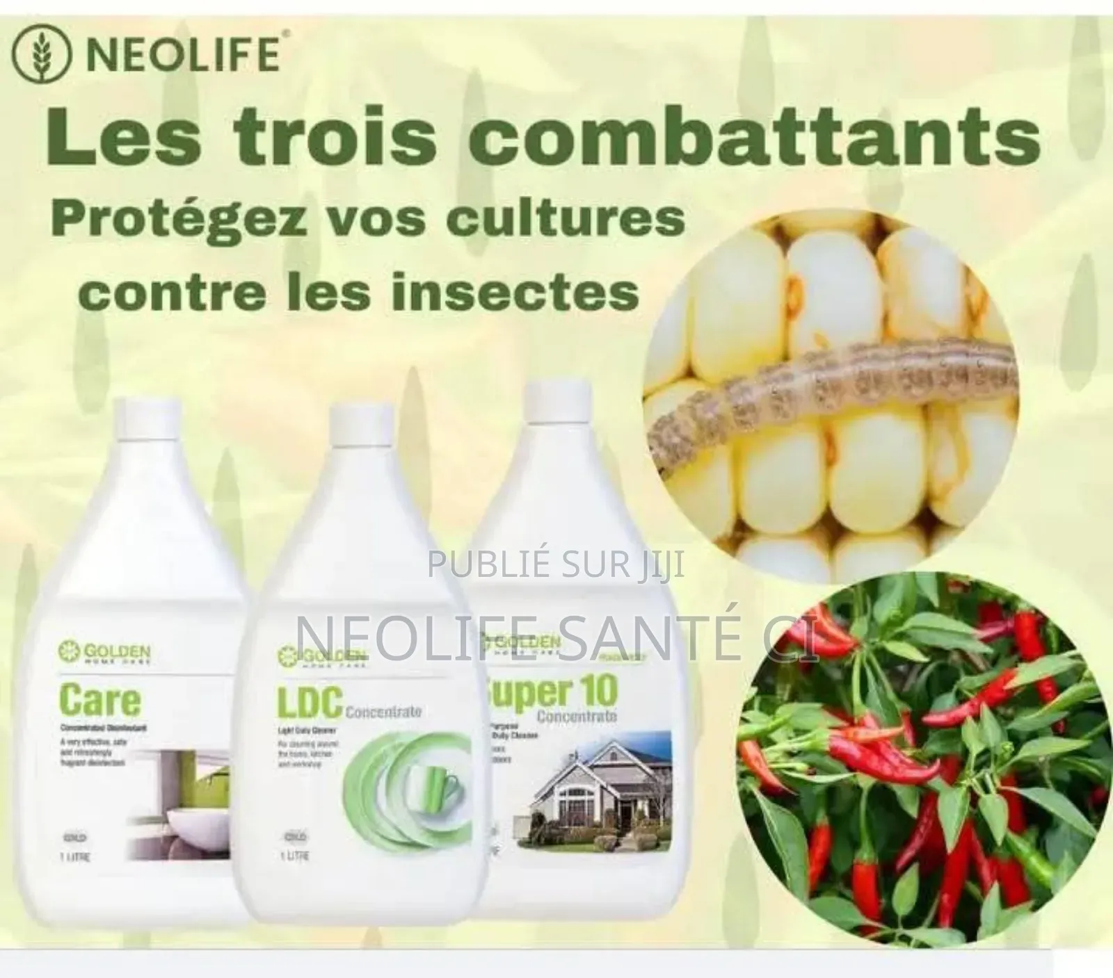 Les Trois Combattants