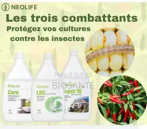 Les Trois Combattants