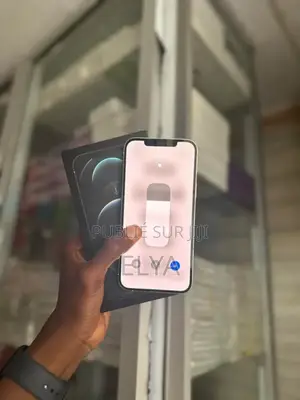 New Apple iPhone 12 Pro Max 256 GB Blanc