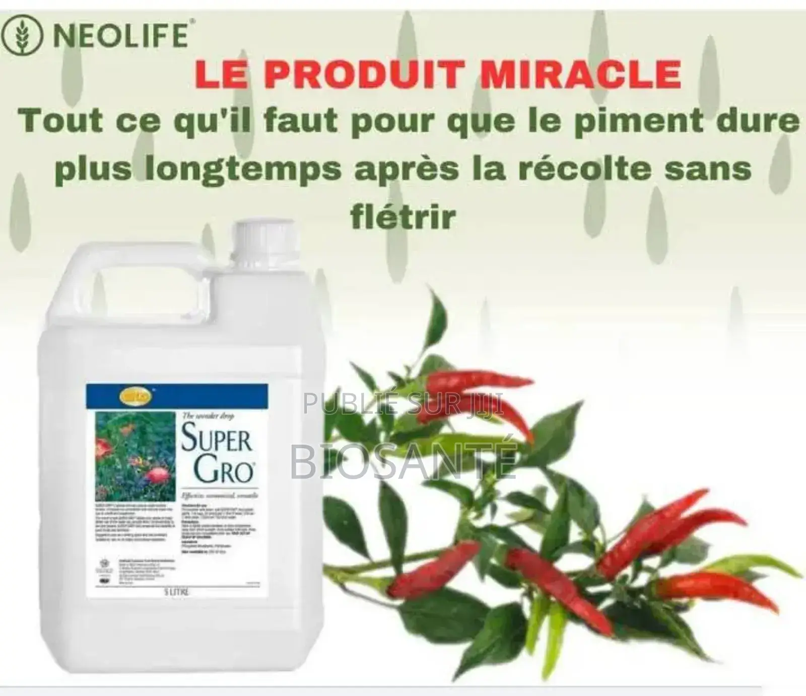 Super Gro (Engrais Liquides 5l)