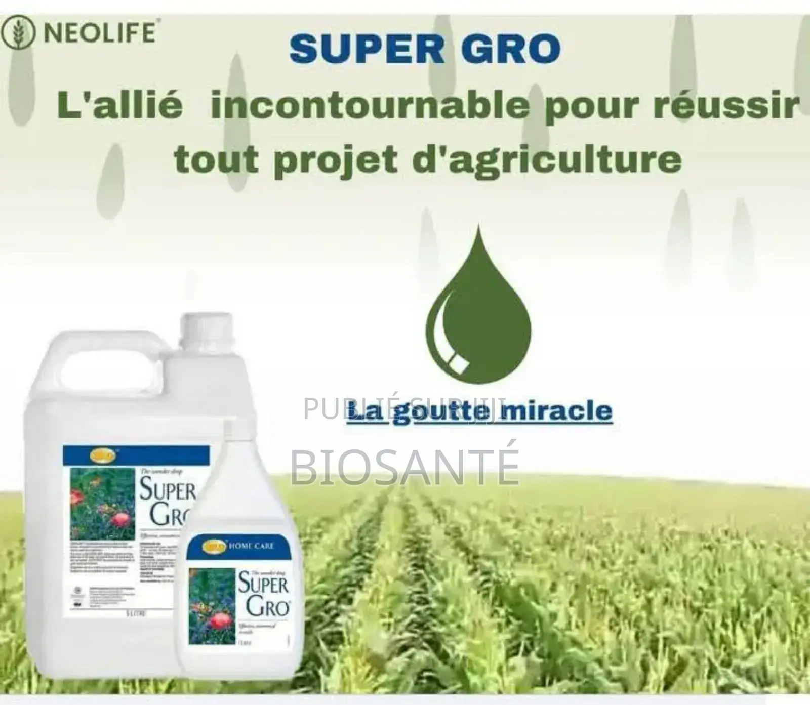 Super Gro (Engrais Liquides 5l)
