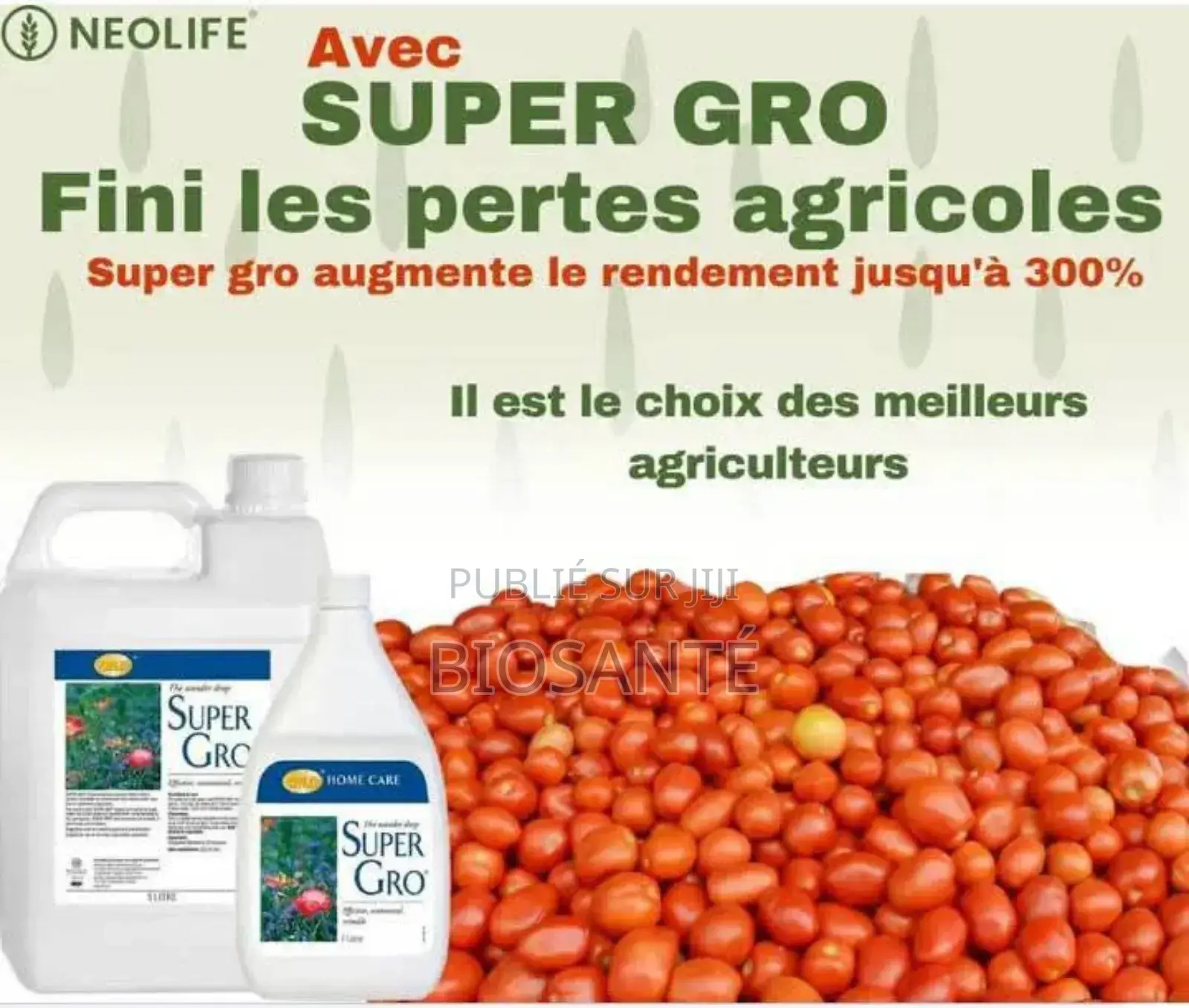 Super Gro (Engrais Liquides 5l)