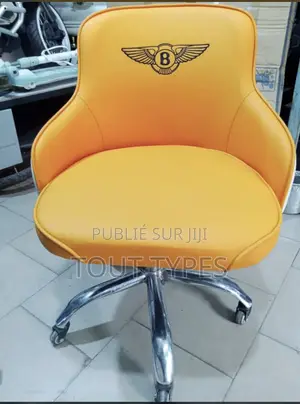 Fauteuil De Salon De Beauté