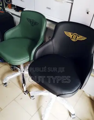 Fauteuil De Salon De Beauté