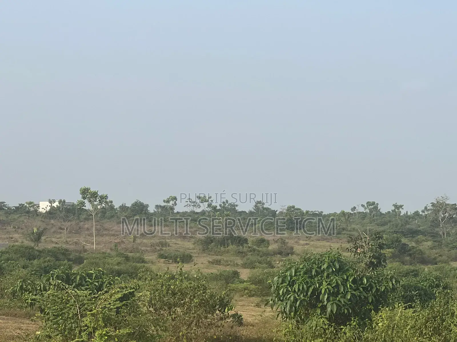 En Vente 6 Îlot De 500m2