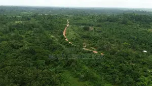 Photo - Terain Agboville