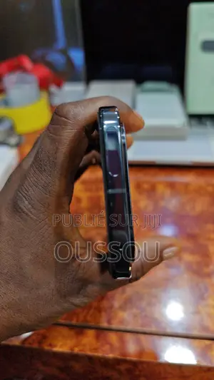 Google Pixel 9 Pro XL 1 TB Gris