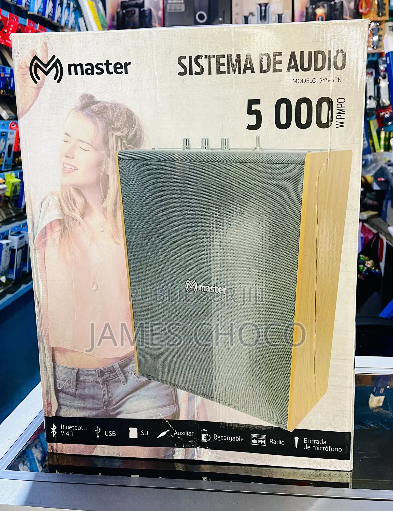 Puissant Haut-Parleur Audio Bluetooth Portable Rechargeable