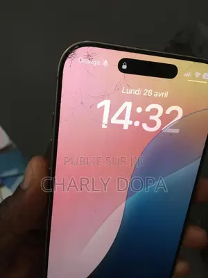 Apple iPhone 16 Pro Max 256 GB Autre