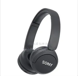 Sony Casque Bt Wh-Ch 520