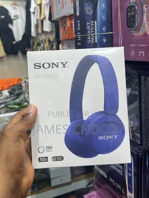 Sony Casque Bt Wh-Ch 520