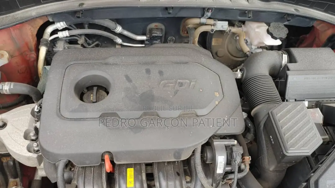 Kia Sportage 2020 Rouge