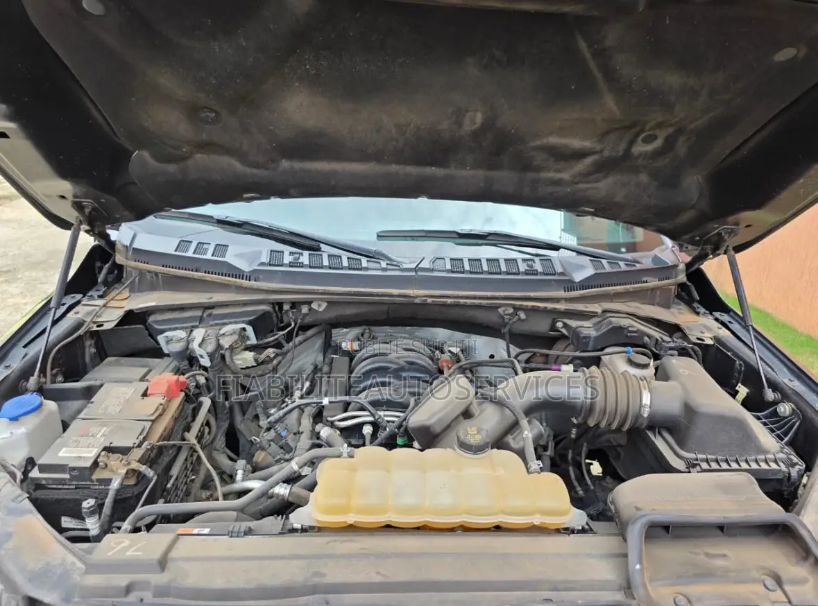 Ford F-150 LARIAT 2021 Gris