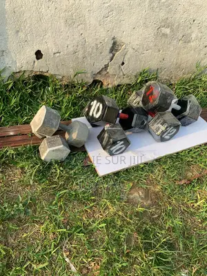 Gamme d'Haltère De 5kg À 12kg