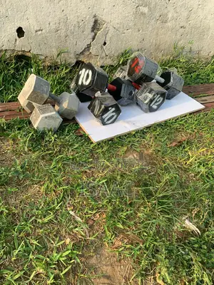 Gamme d'Haltère De 5kg À 12kg