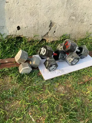 Gamme d'Haltère De 5kg À 12kg