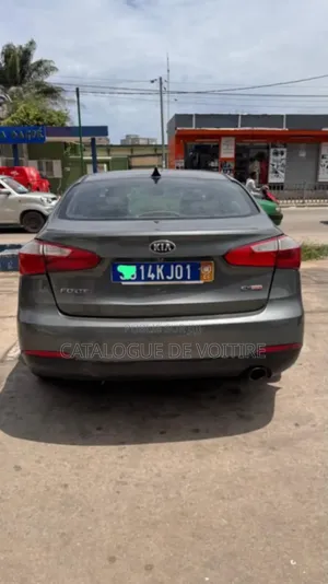 Photo - Kia Forte 2015 Gris