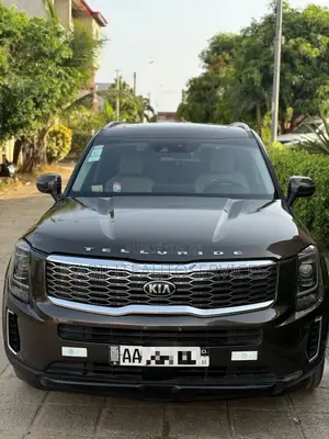 Kia Telluride 3.8 AWD 2021 Marron