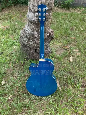 Photo - Guitare Acoustique
