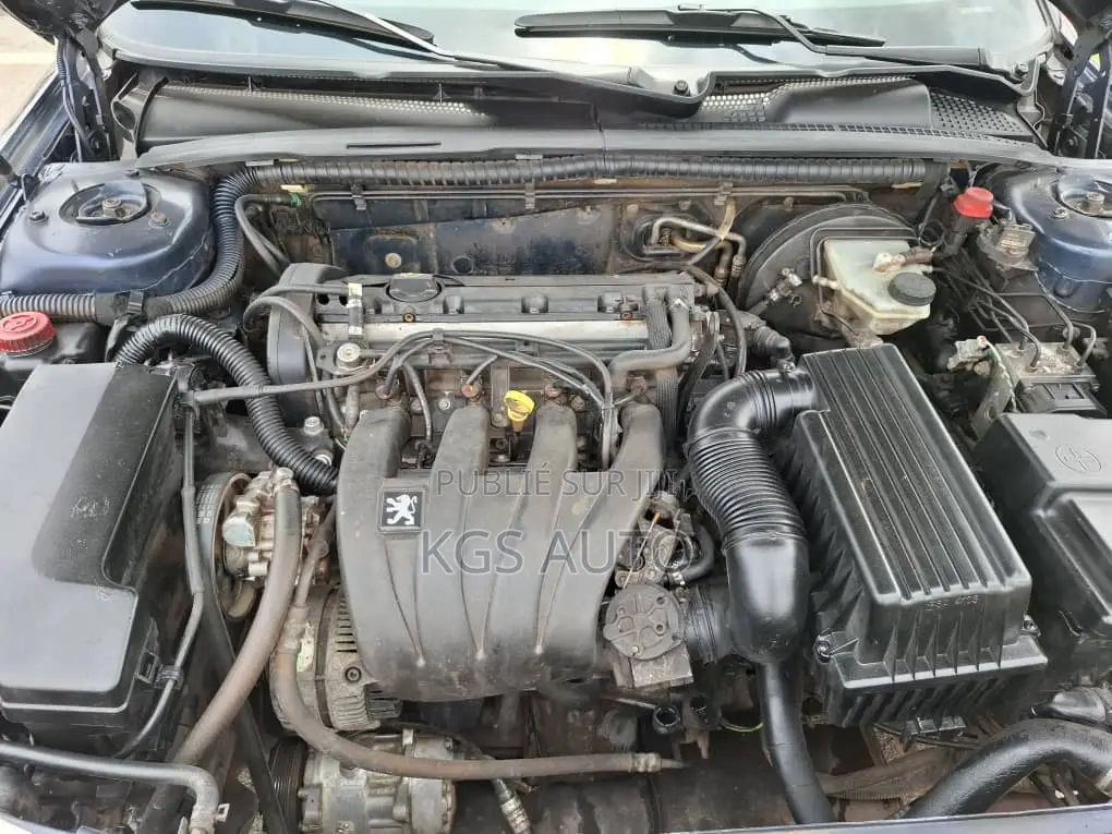 PEUGEOT 406 2002 Bleu