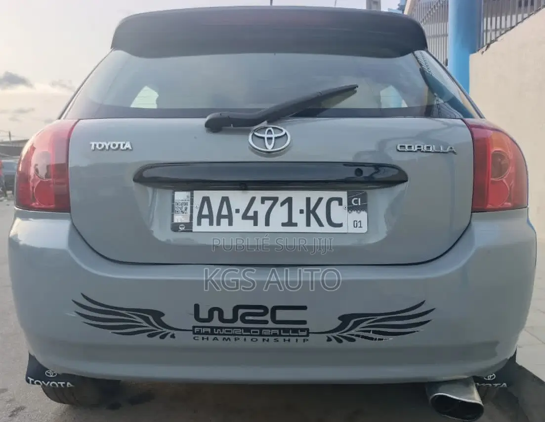 Toyota Corolla 2003 Gris