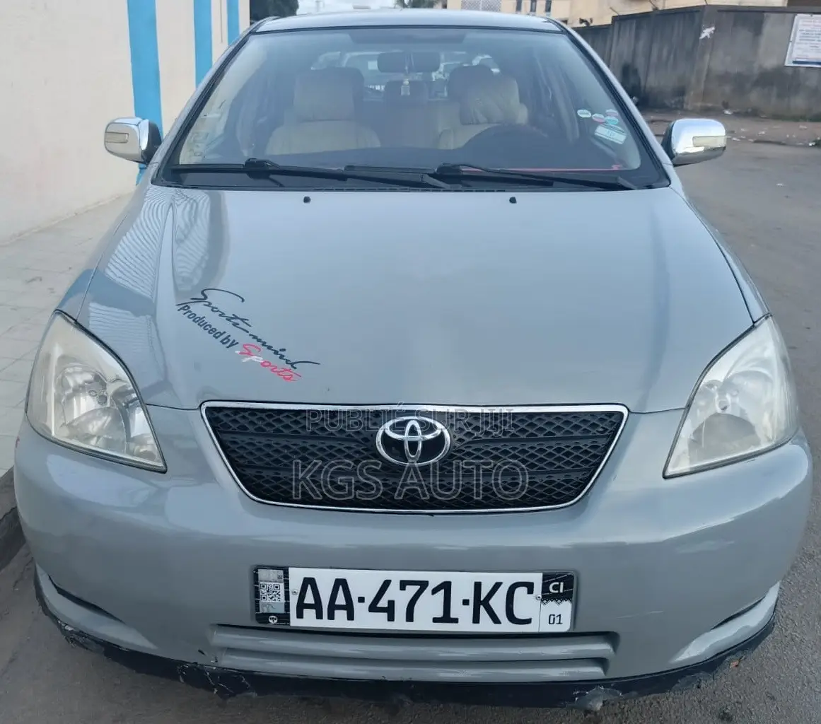Toyota Corolla 2003 Gris