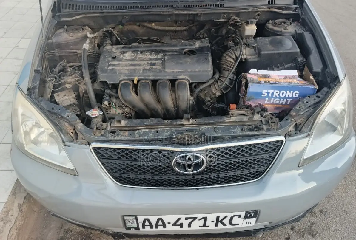 Toyota Corolla 2003 Gris