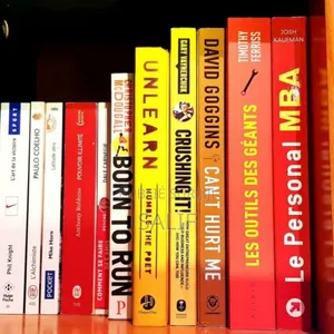 Les Ebooks Les Plus Puissants Pour Réussir