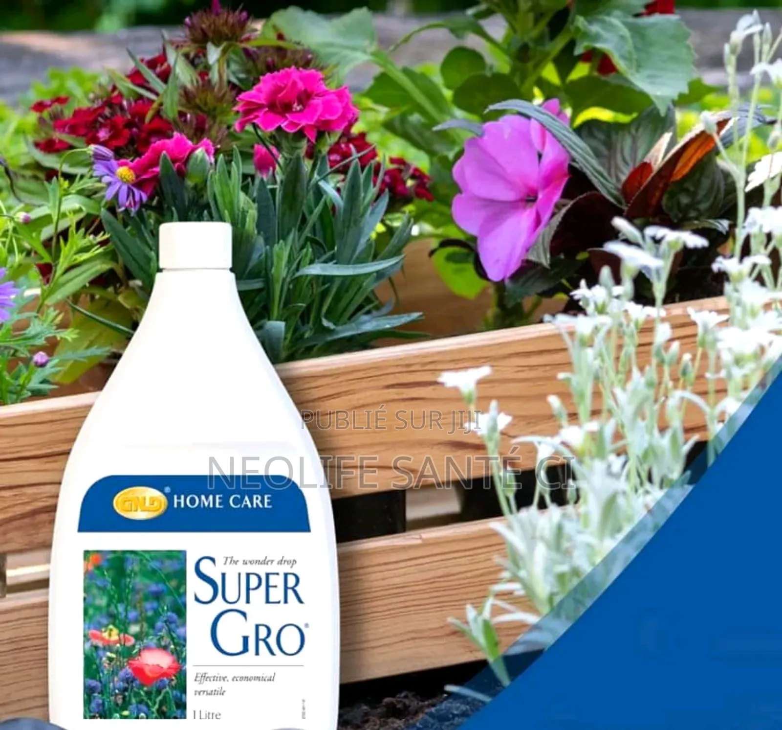 Engrais Super Gro (1 Litre)