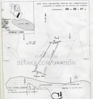 Photo - Terrain De 3041m2 Avec Acd en Vente a M'badon