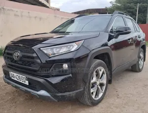 Toyota RAV4 LE AWD 2020 Gris