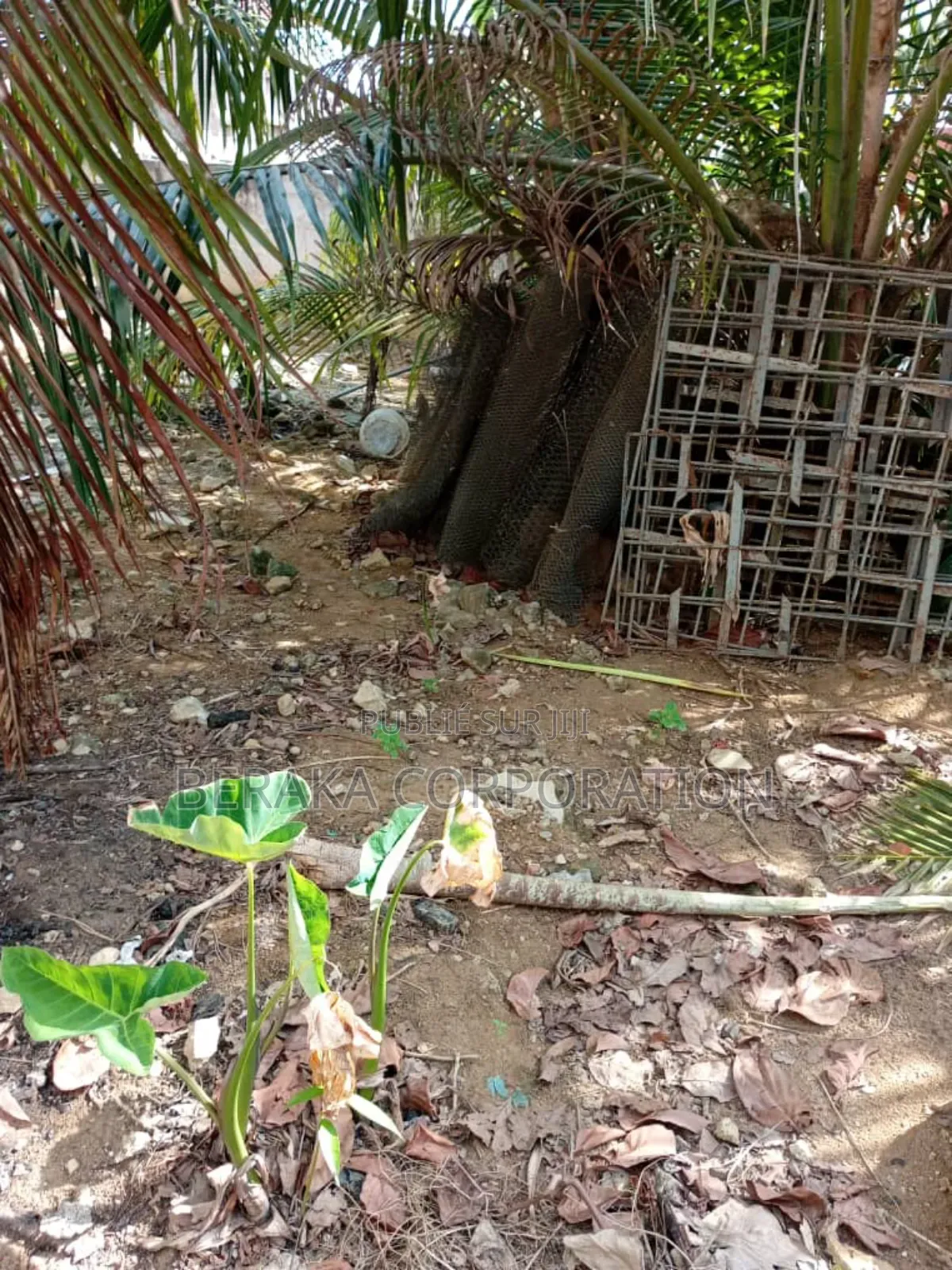 Terrain De 600m2 Avec Acd en Vente Dans La Zone Abidjan Mal