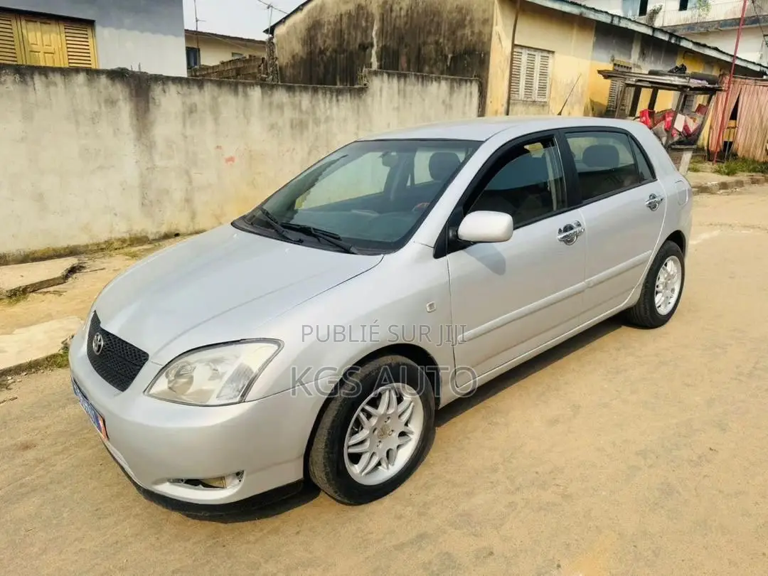 Toyota Corolla Sedan 2004 Gris