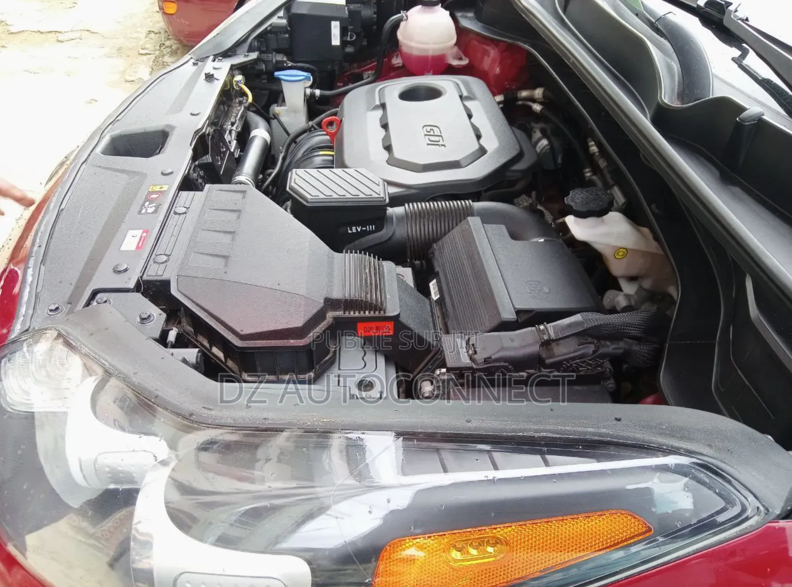 Kia Sportage EX 2022 Rouge