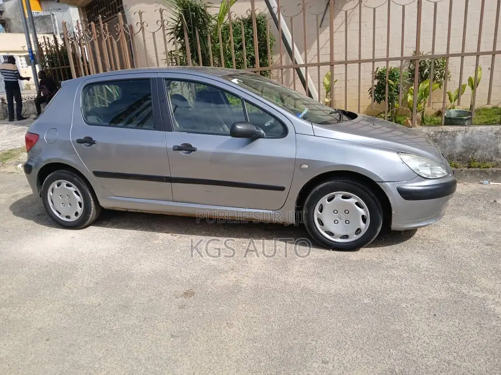 PEUGEOT 307 1.4 D 2002 Gris