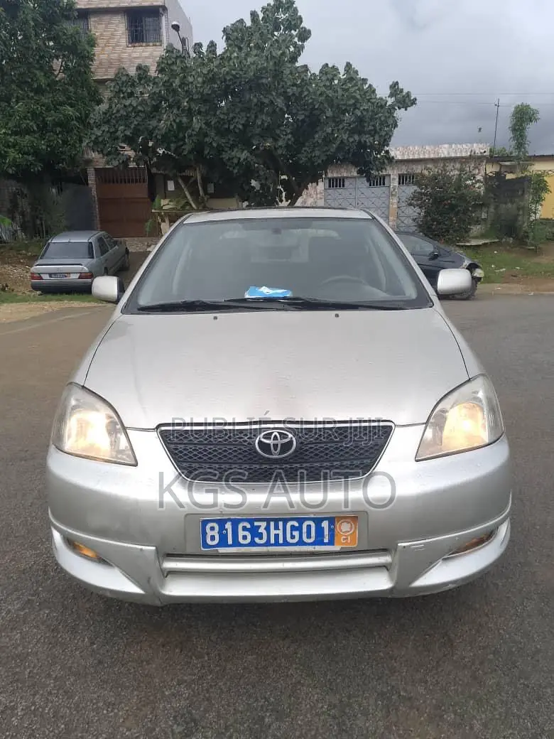 Toyota Corolla 1.4 2004 Gris