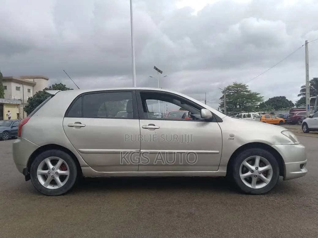 Toyota Corolla 1.4 2004 Gris